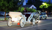 Fun things to do in Hendersonville NC : Horse and Carriage Ride in Downtown Hendersonville NC. 