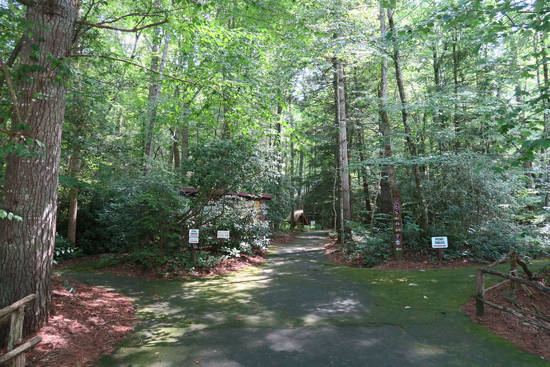 Fun things to do in Hendersonville NC : Holmes Educational State Forest in Hendersonville NC. 
