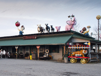 Fun things to do in Hendersonville NC : Piggy's Ice Cream in Hendersonville NC. 