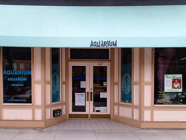 Aquarium and Ocean Center in Hendersonville, NC. 
