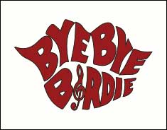 Bye Bye Birdie performance in Hendersonville NC. 