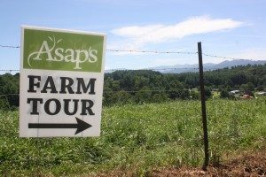 Farm Tours in Hendersonville NC. 