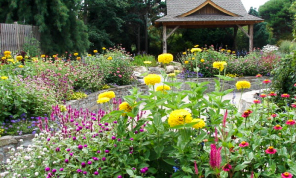 Fun things to do in Hendersonville NC : Bullington Gardens in Hendersonville NC. 