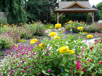 Fun things to do in Hendersonville NC : Bullington Gardens in Hendersonville NC. 