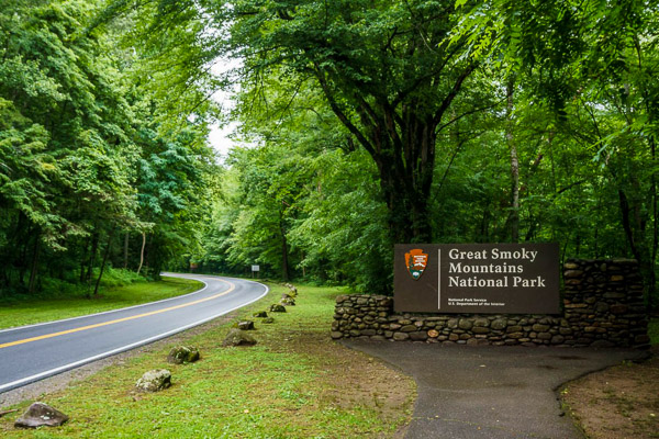 Fun things to do in Hendersonville NC : The Great Smoky National Park in TN. 