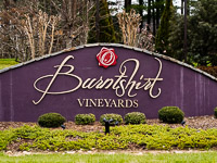 Burntshirt Vineyard in Hendersonville NC. 
